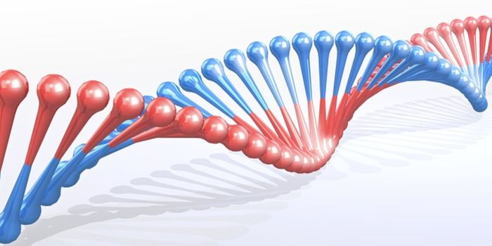 Advancing the Study of 'Jumping' Genes