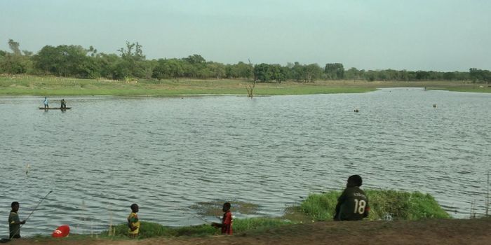 The Malaria Parasite Can Change Host Cell Genetics