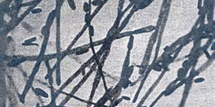 New Biofuel from Yeast and Sugar