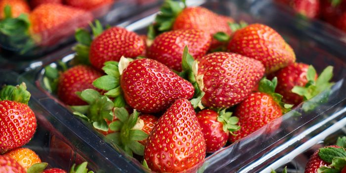 Could CBD be a food preservative?