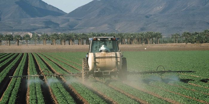 Common Chemicals May Contribute to Obesity