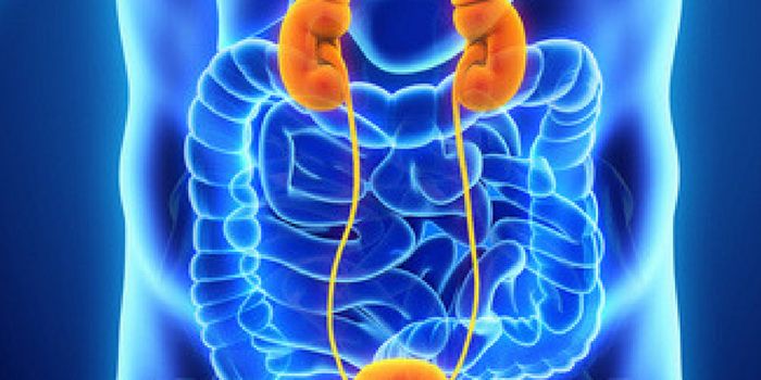 UroSEEK: Early Bladder and Urothelial Cancer Urine Screening Test Developed to Complement Urine Cytology