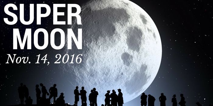 Watch for the Super Moon on November 14th!
