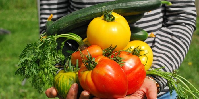 Plant-based Diets Shown to be Adequate Nutritionally