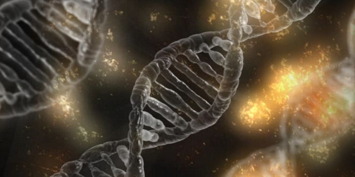 Genetic Recombination Appears to be Common in the Human Genome