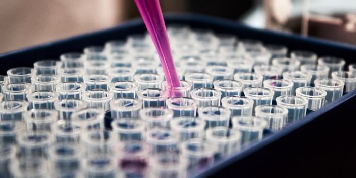 Nanomesh Development Advances Drug Delivery's Fight Against Antibiotic-Resistance