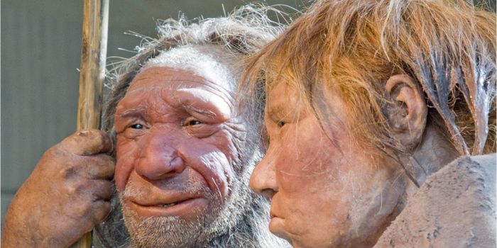 Making Mini-brains From Neanderthal DNA