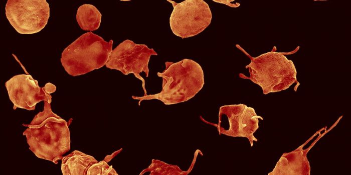 Blood Clots: Good Vs. Bad