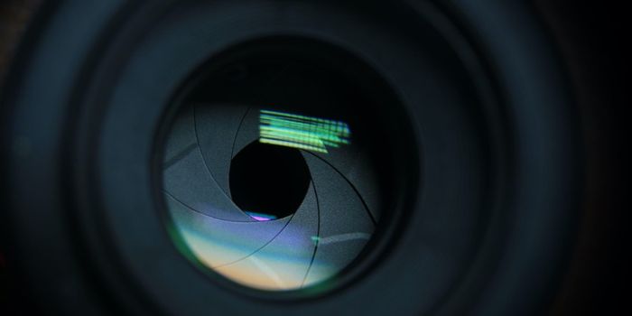 Blind Person Sees With Visual Cortex Implant