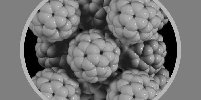 Molecules of the Year 2019