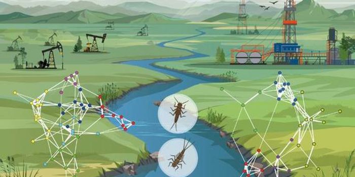 Old Oil Wells Cause Persistent Biodiversity Loss in Streams