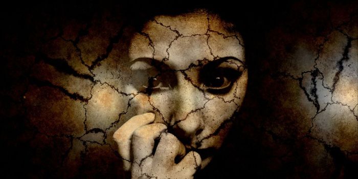 Fear Processing Depends on Estrogen Levels, not Sex