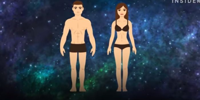 What will people look like 1,000 years from now?