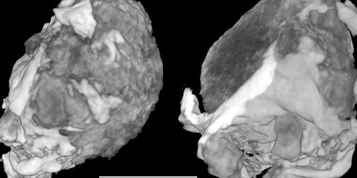 Space Crystal Survives Inside an Ancient Meteorite