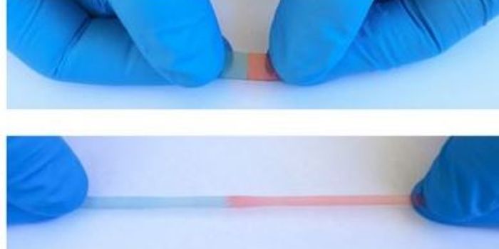 Taking a Tip from Wolverine: Scientists Create Self-Healing Material