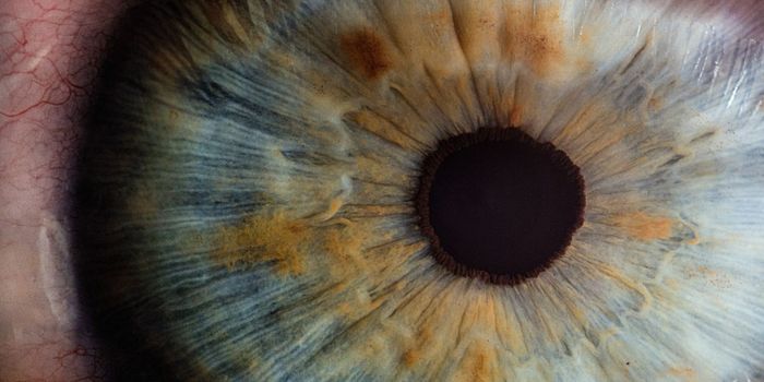 How Blindsight Helps Us Explain Consciousness