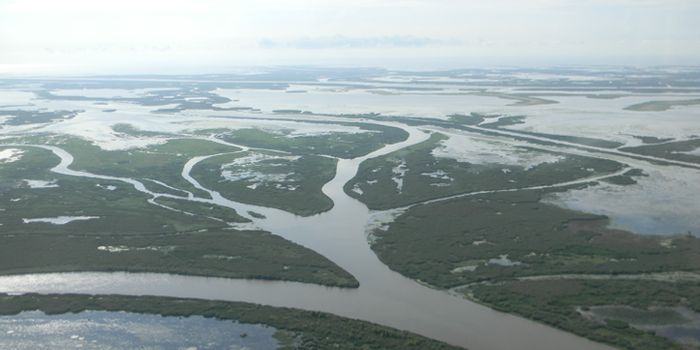 Can mapping the river save the Mississippi?
