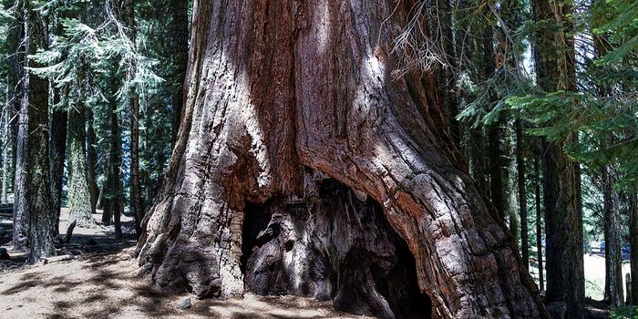 National parks are suffering from air pollution