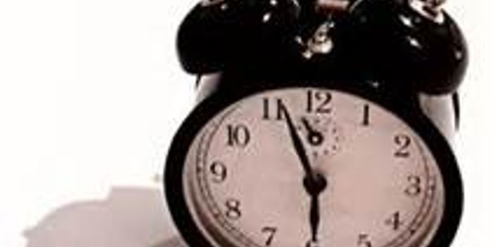 Genomic partitioning by biological clock  separates key metabolic functions