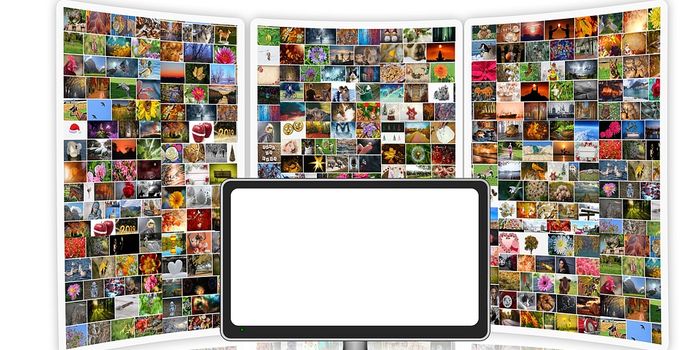 Employing machine-learning to identify the biological languages of cancer and Alzheimer's