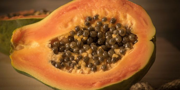 CDC Warns Consumers to Steer Clear of Papayas