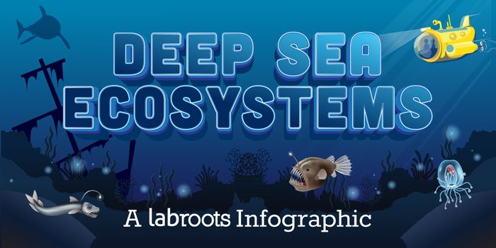 Deep Sea Ecosystems