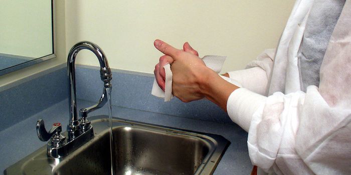 Pathogenic E. coli Tends to Come From Poor Hygiene, Not Contaminated Food