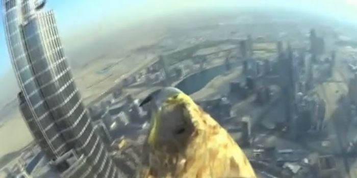 Birds-eye view of eagle's flight from world's tallest building