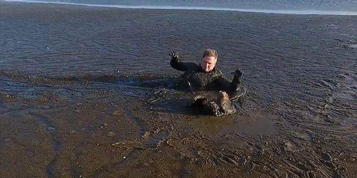 Nature Photographer Rescues White-Tailed Eagle From Thick Mud