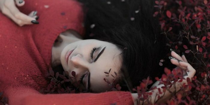 Reducing Fall Risk in Older Adults