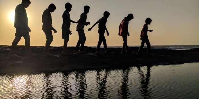 Can drugs increase sociability after pediatric brain injury?