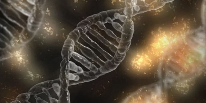 Using Terahertz Waves to Control Gene Expression