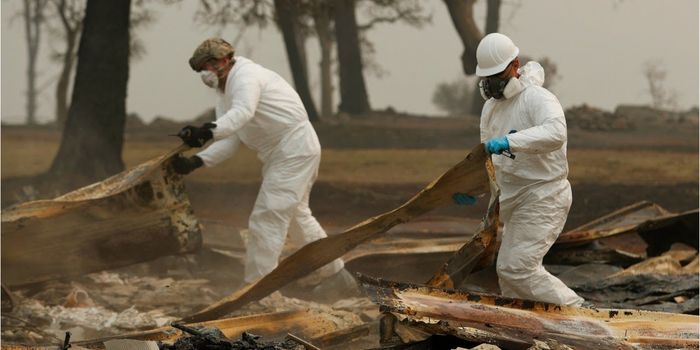 Authorities Enlist DNA Experts to ID Camp Fire Victims