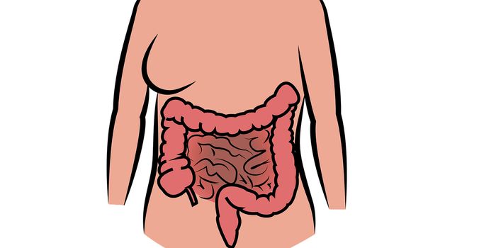 Scientists Develop "RoboCap" Capsule to Deliver Drugs to Digestive Tract