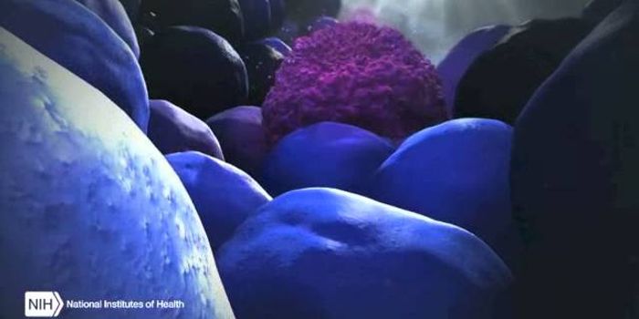 Unlocking the Mysteries of Extracellular RNA Communication