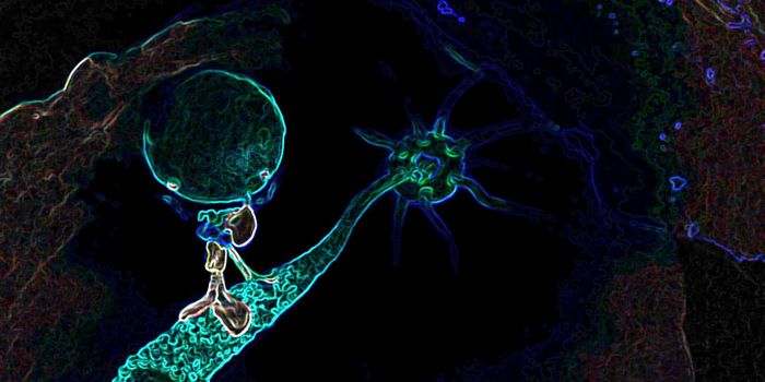 Surprising Gene Mutation Reveals Rare Immunodeficiency