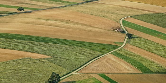 Bacteria Generate More Greenhouse Gas Than We Knew