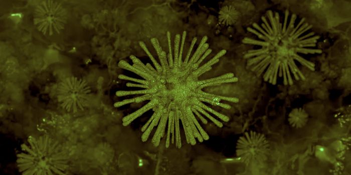 There's More to Viral DNA Than ATGC