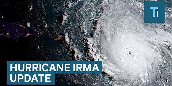 Florida to Brace for Impact as Hurricane Irma Sweeps In