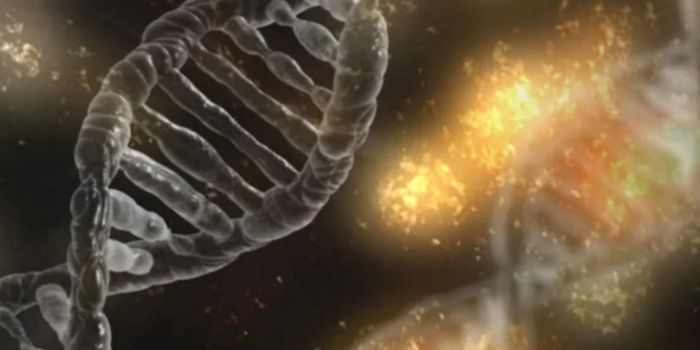 Scientists ID Genes That are Critical to Liver Regeneration