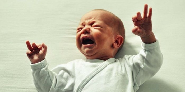 How a Crying Baby Affects a Mother's Brain