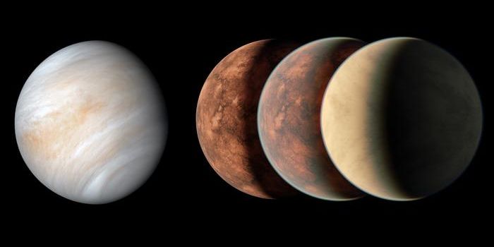 Habitable planets need 20% of Earth's water to regulate temperature