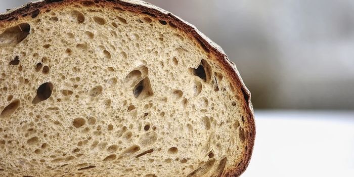 Diagnosing Non-Celiac Gluten Sensitivity