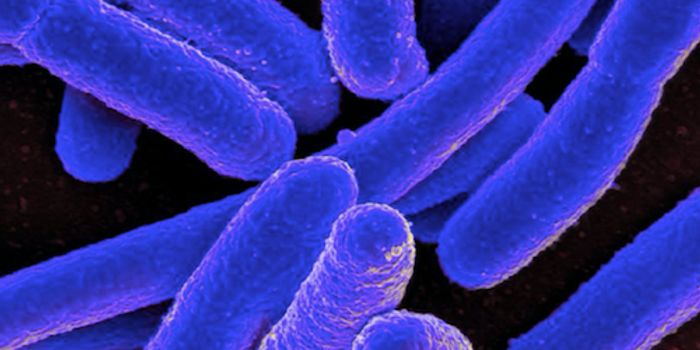 The Genetic Hotspots That Can Lead to Cancer