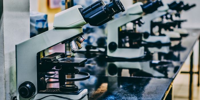 Are We Ready For Fetal Gene Therapy?