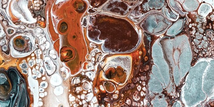 Self-Replicating RNA Molecules Show How Life May Have Arose