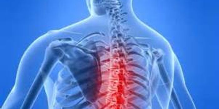 Gene inhibitor and salmon fibrin restore function lost in spinal cord injury