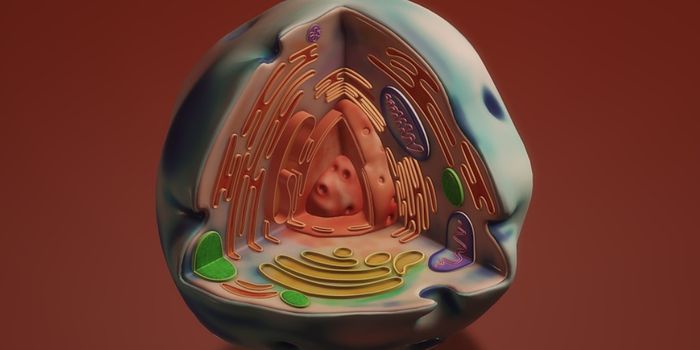 Apoptosis - A Process With 1.8 Billion-Year-Old Origins