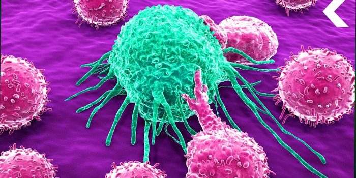 Cancer's Biggest Edge Comes From DNA Copying Errors