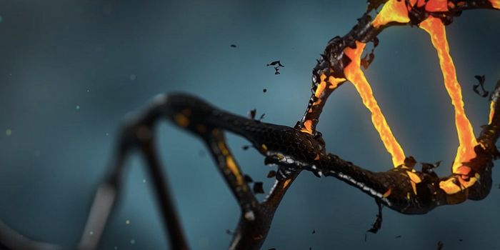 A Genetic Cause of Lupus is Identified